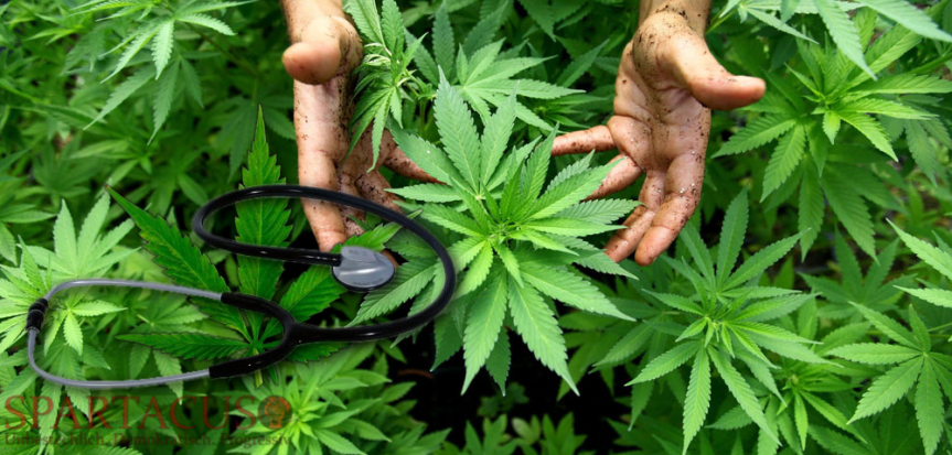 Facebook verbietet medizinisches&nbsp;Cannabis