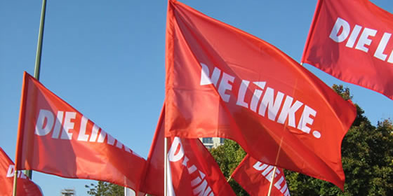 fahnen_dielinke_560x280