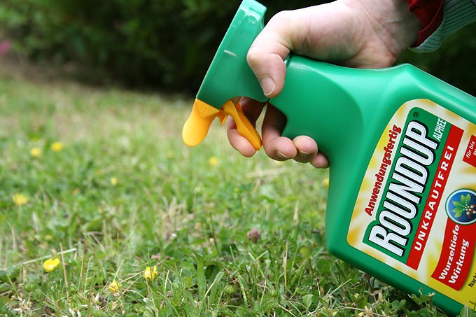 Glyphosat und das&nbsp;Vorsorgeprinzip