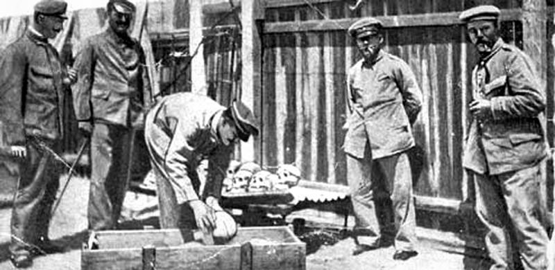 Hereo-Schädel werden für Transport nach Berlin verladen