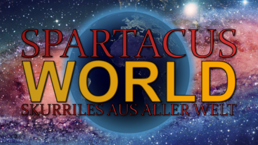 Einziger Mordzeuge: Ein&nbsp;Papagei