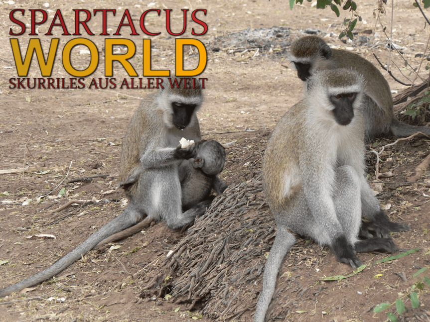 Affe hüllt Kenia in&nbsp;Dunkelheit.