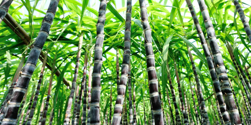 Lebensmittelpreise steigen stärker als in den vergangenen&nbsp;4-Jahren.